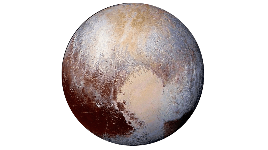 Inspect Reflect Respect Inflect Dissect Connect Correct&nbsp;Check